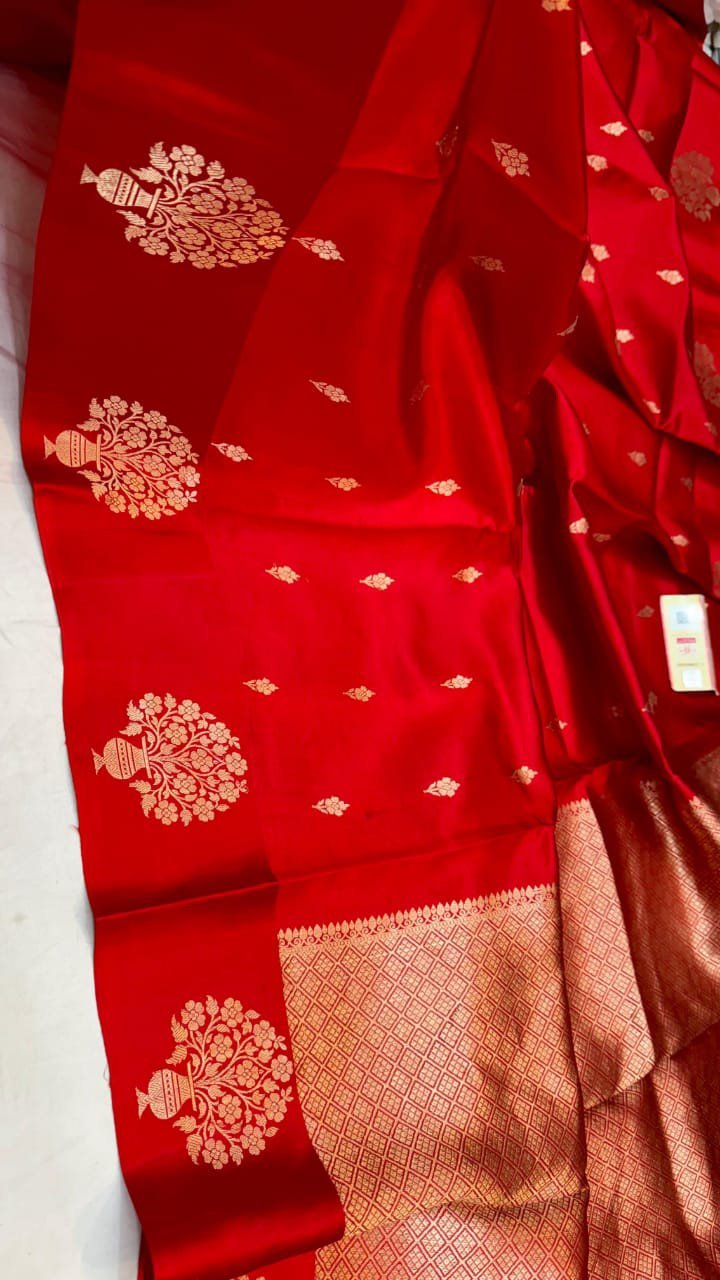 Banarasi Handloom Pure Raw Mangoo Silk Saree