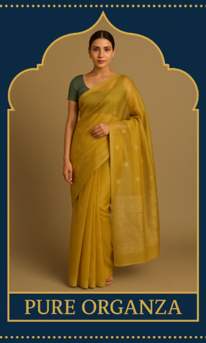 kora organza saree